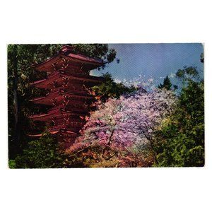 Vintage Postcard San Francisco Oriental Tea Garden California Pagoda Golden Gate